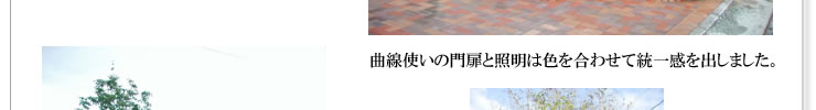 曲線使いの門扉と照明は色を合わせて統一感を出しました。