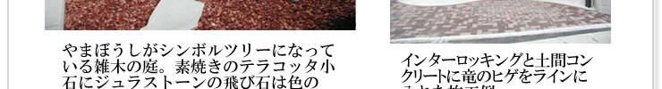 やまぼうしがシンボルツリーになっている雑木の庭。素焼きのテラコッタ小石にジュラストーンの飛び石は色のコントラストも素敵な組み合わせでお薦めです。