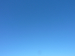 P1000866.jpg
