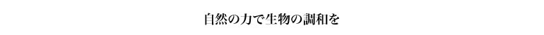 母なる地球を癒すロジェクト