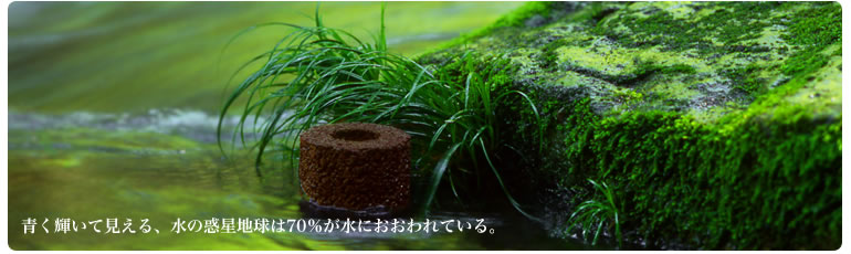 メカニズム 「地球生命を傷つけず、魚が住める水へ。」 コヨウ メカニズム 「地球生命を傷つけず、魚が住める水へ。」 コヨウ