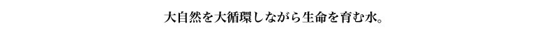 母なる地球を癒すロジェクト